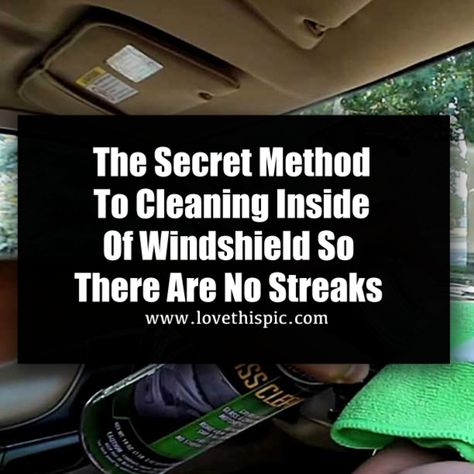 Clean Car Windows Inside, Clean Inside Windshield, Car Aesthetic Inside, Cheese Pictures, Inside Car Ideas, Clean Car Windshield, Inside The Car Aesthetic, Cleaning Car Windows, Clean Windshield