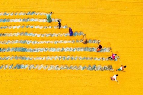 See Think Wonder, Sentence Stems, Rice Field, Gray Whale, Photo Awards, Photography Competitions, White Patches, Urban Architecture, Forced Labor