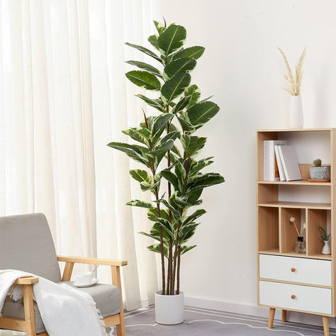 Lifelike Appearance - Carefully crafted to mimic the appearance of a real live rubber tree plant,looking as close to reality as possible, perfect for any room or office decor. Three trunks adorned with 69 large leaves, clearly textured leaves and variegated color makes this faux rubber tree a timeless home decor for all seasons and will definitely make you feel the existence of nature. Faux Ficus Tree, Fig Tree Plant, Rubber Tree Plant, Fiddle Leaf Fig Tree, Ficus Tree, Floor Plants, Rubber Tree, Faux Tree, Silk Plants