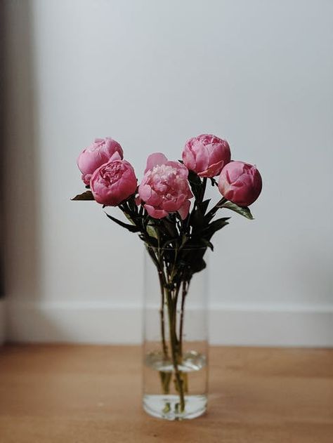 Flower Vase Design, Bloom Blossom, Pink Carnations, Carnation Flower, Flower Therapy, Clear Glass Vases, Minimalist Photography, Photos Hd, Modern Flower