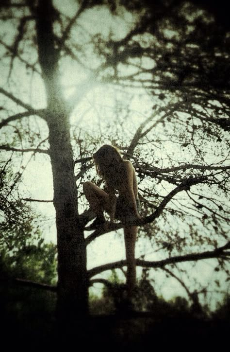 Climbing Fence Aesthetic, Climbing A Tree Aesthetic, Tree Climbing Aesthetic, Climbing Trees Aesthetic, Girl Climbing Tree, Climbing Aesthetic, Halloween Short Stories, Climbing A Tree, Climbing Girl