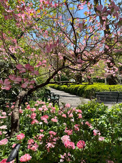 Spring time in NYC Nyc In Spring, Header Flower, Spring In Nyc, Vintage Scenery, Spring Nyc, Spring In The City, Summer In Nyc, Nyc Spring, Spring In New York