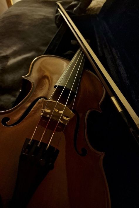 #aesthtic #violin #aesthticviolin Violin Aesthetic Dark, Music Dark Academia, Narnia Shifting, Songwriter Aesthetic, Violin Aesthetic, Musician Aesthetic, Violin Photography, Write Essay, Podcast Website