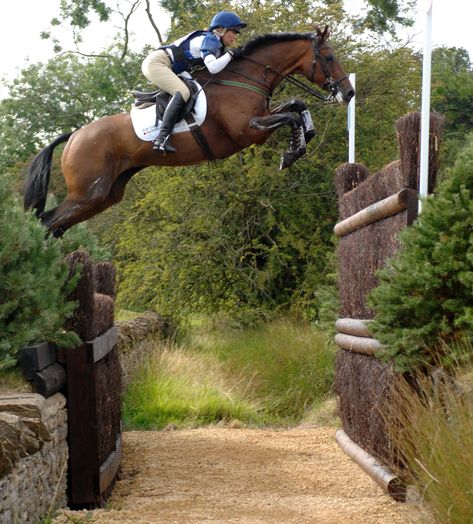 Burghley Equestrian Eventing, Eventing Cross Country, Cross Country Jumps, Show Jumping Horses, Equestrian Aesthetic, Eventing Horses, Horse Aesthetic, Horse World, Sport Horse