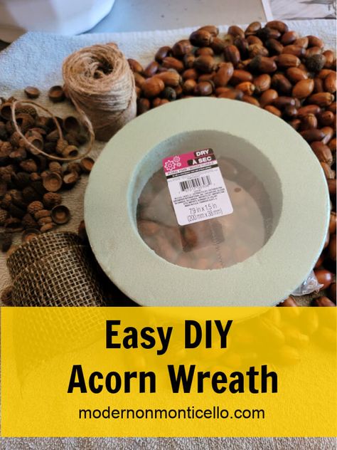 easy diy acorn wreath made from acorns you collect from nature and prepare for use in crafts. Modern on Monticello #fallwreaths #acorns #acornwreaths #diywreaths Acorn Wreath, Acorn Decorations, Colorful Ornaments, Fall Decor Diy Crafts, Fall Art Projects, Neutral Fall Decor, Headpiece Diy, Fall Crafts Diy, Seasonal Wreaths