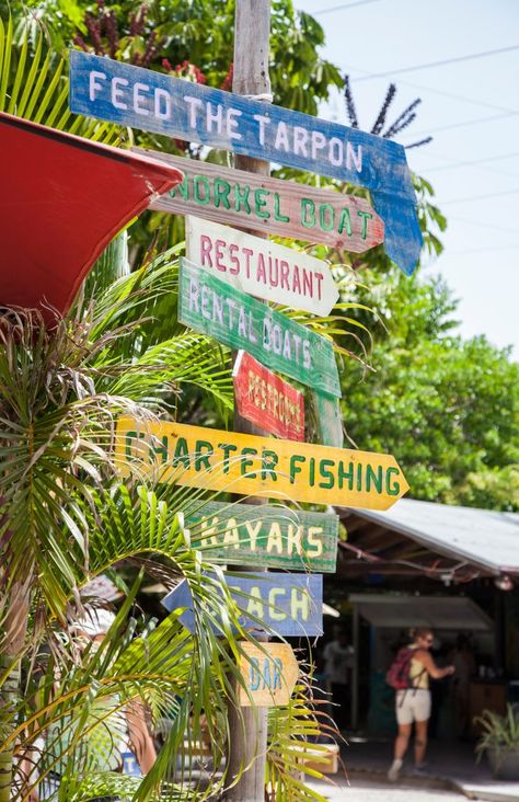 10 Best Things to Do in Islamorada FL Keys You Shouldn't Miss! - Florida Trippers Little Torch Key Florida, Things To Do In Islamorada Florida, Boat Restaurant, Florida Keys Road Trip, Southern Things, Islamorada Florida, Key West Vacations, Fl Keys, The Florida Keys