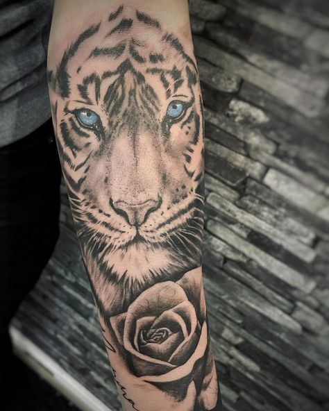 https://www.instagram.com/p/CKWr7muFbSt/?igshid=11s5rkrd8eag3 Marina’s Instagram photo: “Tiger & rose Tattoo #blackandgreytattoo #tigertattoo #rosetattoo #girltattoos #sleevetattoo #tatuering #halmstad #tiger @inkart_halmstad…” Tiger And Rose Tattoo, Tiger Rose Tattoo, Tiger Forearm Tattoo, Tattoo Bein Frau, Le Tattoo, Rose Tattoo Sleeve, Rose Sleeve, Tiger Tattoo, Forearm Tattoo Men