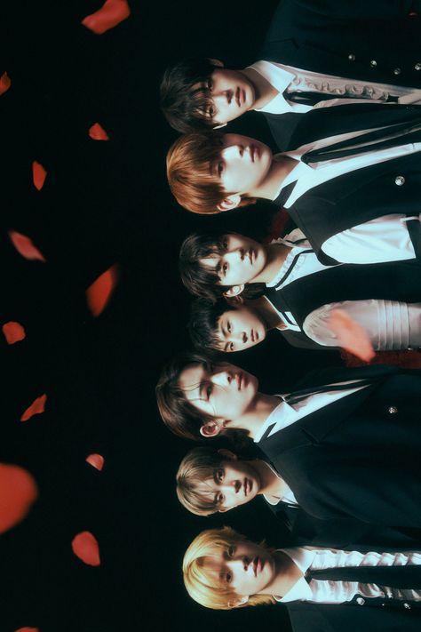 Enhypen Wallpaper Dark Blood Concept, Sweet Venom Enhypen, Enhypen Vampire Concept, Enhypen Dark Blood Group Photo, Enhypen Pc Wallpaper, Enhypen Concept Photo, Dark Blood Concept Photo, Printable Photocards, Txt Temptation