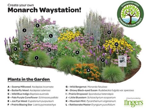 Garden Design Magazine on Instagram: “Create your own Monarch Waystation! 🦋 . Great layout from @ringerslandscaping. See more ideas for your garden in our regional gardening…” Monarch Waystation, Funny Vine, Butterfly Garden Design, Hummingbird Garden, Garden Wallpaper, Pollinator Garden, Have Inspiration, Landscape Services, Native Garden