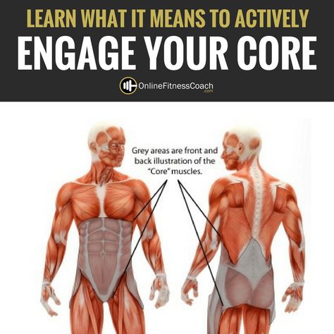 Engage Your Core How To Engage Your Core, Engage Core, Core Engagement, Core Muscles, What Can I Do, Weight Training, Strength Training, Back Pain, Fitness Tips