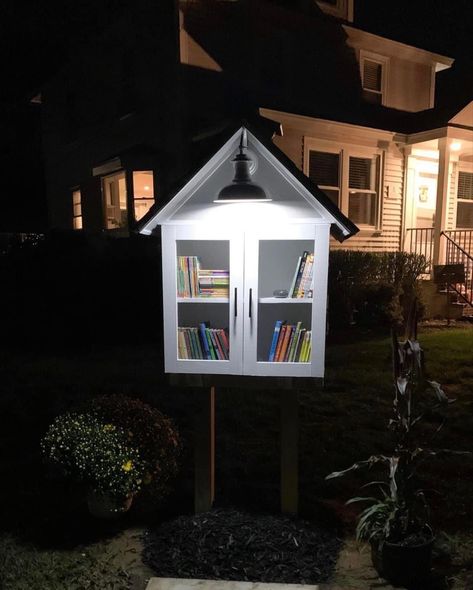 Free Library Box Diy, Free Little Library Ideas, Little Library Ideas, Yard Library, Little Free Library Ideas, Red Library, Neighborhood Library, Little Free Library Plans, Toy Library