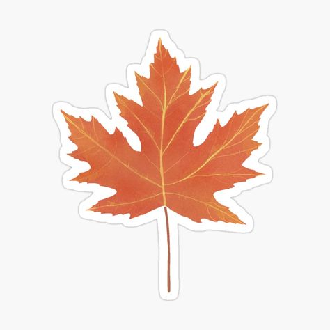 Get my art printed on awesome products. Support me at Redbubble #RBandME: https://www.redbubble.com/i/sticker/Toronto-maple-leaf-by-NirHevlin/153032972.EJUG5?asc=u Maple Leaf Sticker, Leaf Stickers, Leaf Sticker, Blue Journal, Fall Stickers, Emoji Iphone, Positivity Stickers, Scrapbook Stickers Printable, Autumn Stickers