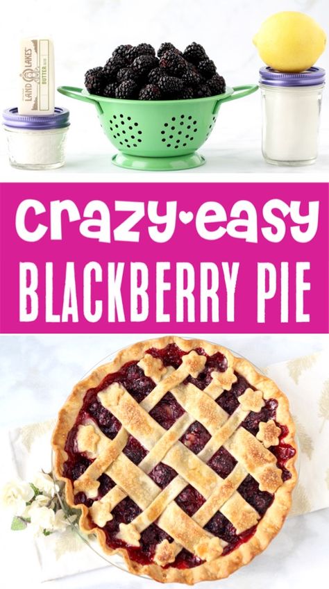 Fresh Blackberry Pie, Fruit Pie Recipes Easy, Easy Blackberry Pie, Easy Fruit Pie, Blackberry Pie Recipe, Raspberry Pie Recipe, Pie Recipe Easy, Caramel Apple Pie Recipes, Easy Blueberry Pie