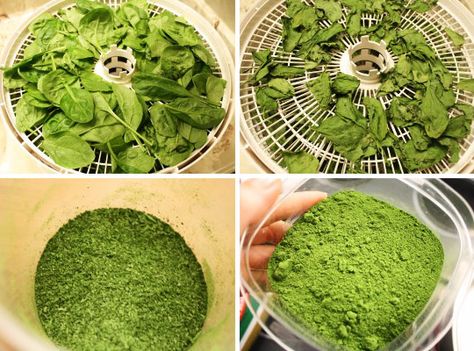 A Powerhouse Nutritional Add-In: Homemade Spinach Powder Dry Food Storage Ideas, Food Storage Ideas, Spinach Powder, Food Dehydration, Dry Food Storage, Dehydrated Food, Dehydrator Recipes, Food Processor, Canning Recipes