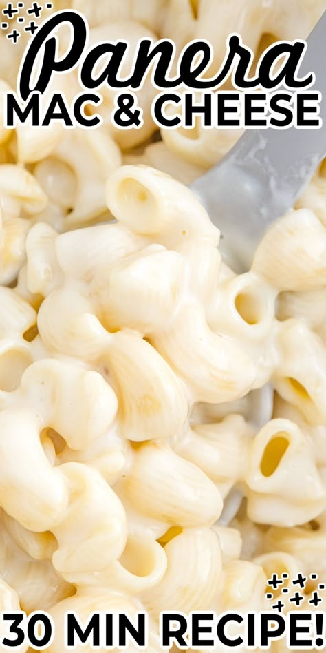 Panara Mac And Cheese, Macaroni And Cheese Panera, Copycat Panera Mac And Cheese, Panera Mac And Cheese Recipe, Panera Mac And Cheese, Easy Mac N Cheese Recipe, Creamy Chicken Pasta Recipes, Chicken Pasta Casserole, Best Mac N Cheese Recipe