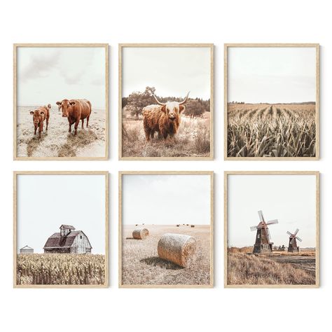 Traditional Art Prints, Cow Wall Decor, Farm Wall Decor, Farm Prints, Haus And Hues, Pictures Wall Decor, Farmhouse Pictures, Highland Cow Art, Farm Pictures