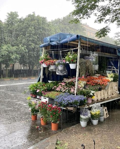 april showers and waiting for may flowers 🌧️🌸 Spring Showers Aesthetic, April Showers Aesthetic, 2025 Checklist, April Core, April Vibes, April Aesthetic, Spring Showers, April Showers Bring May Flowers, Flower Cart