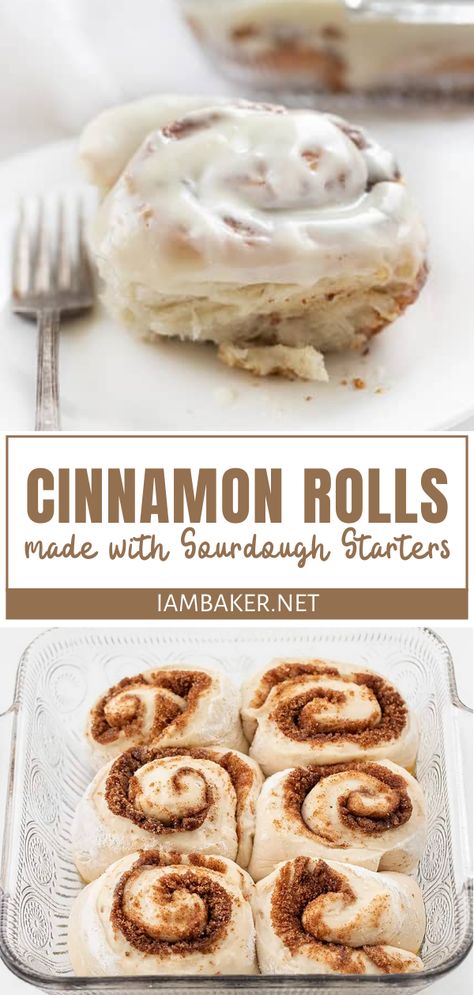 Dough Starter Recipe, Easy Yeast Rolls, Quick Cinnamon Rolls, Yeast Rolls Recipe, Recipe Using Sourdough Starter, Sourdough Cinnamon Rolls, Whipped Cream Cheese Frosting, Sourdough Bread Starter, Sourdough Starter Discard Recipe