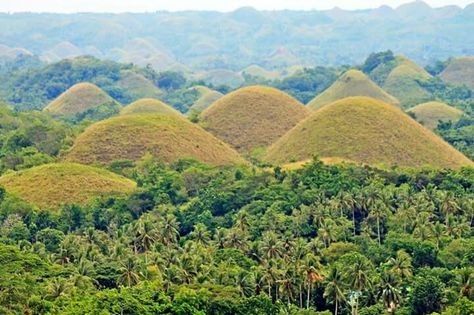 Chocolate Hills, New Jeans Style, Bohol, Nice View, Girls Trip, Jeans Style, Philippines, Travel, Quick Saves