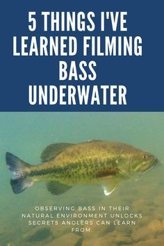 Crappie Fishing Tips, Largemouth Bass Fishing, Fishing For Beginners, Fly Fishing Tips, Bass Fishing Lures, Bass Fishing Tips, Pike Fishing, Fishing Diy, Crappie Fishing