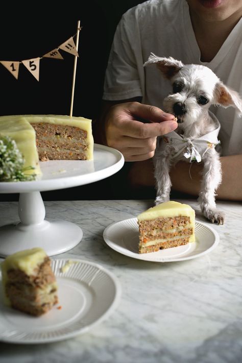 Birthday cake for DOGS!!  Nutritionally balanced, meatloaf b-day cake "frosted" with mashed potatoes. Meatloaf Potatoes, Meatloaf Cake, Doggy Birthday, Dog Birthday Cake, Cooking White Rice, Dog Cakes, Dog Cake, Chicken Livers, Round Cake Pans