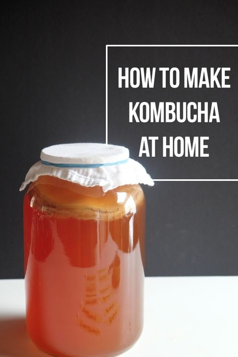 How to Make Kombucha At Home - Shutterbean Jun Kombucha, Diy Kombucha, Kombucha Starter, Kombucha Scoby, How To Brew Kombucha, Homemade Kombucha, Kombucha Recipe, Fermented Tea, Kombucha Tea