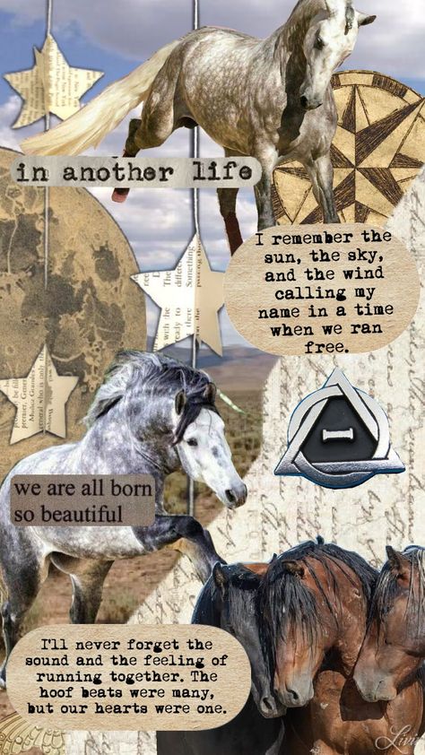 #horse #therian #therianthropy #horses Horse Therian, Black Percheron, Therian Aesthetic, Horse Collage, Therian Wallpaper, Percheron Horse, Percheron Horses, Therian Stuff, Horses Theme