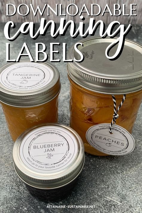 These canning labels are perfect for labeling all of your home canned goods so everyone knows what kind of delicious goodness awaits inside. Labeling Canning Jars, Canning Jar Labels, Mason Jars Labels, Peach Blueberry, Canning Food Preservation, Handyman Projects, Good Advertisements, Water Bath Canning, Canning Labels