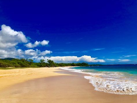 Big Beach Maui, Maui Vacation, Maui Hawaii, Online Tickets, Maui, Trip Advisor, Hawaii, Need To Know, Water