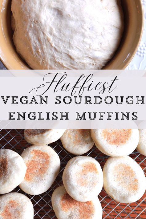 fresh baked sourdough english muffins and bowl dough Vegan Sourdough Muffins, Gluten Free Sourdough English Muffins, Vegan Sourdough Recipes, Vegan Sourdough Discard Recipes, Vegan English Muffin Recipe, Vegan Sourdough Bread, Vegan English Muffins, Sourdough English Muffin Recipe, Gluten Free Sourdough Starter