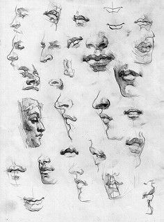 Drawing Noses, Drawing Faces, Pencil On Paper, Anatomy Drawing, Art Instructions, Art And Illustration, Anatomy Art, Facial Expressions, Drawing Challenge