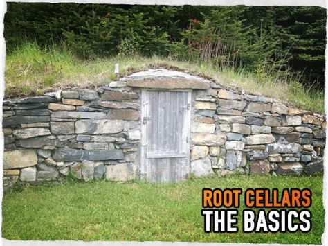 Case Sotterranee, Root Cellar Storage, Root Cellars, Earth House, Small Door, Root Cellar, Homestead Farm, Homestead Living, Urban Homesteading