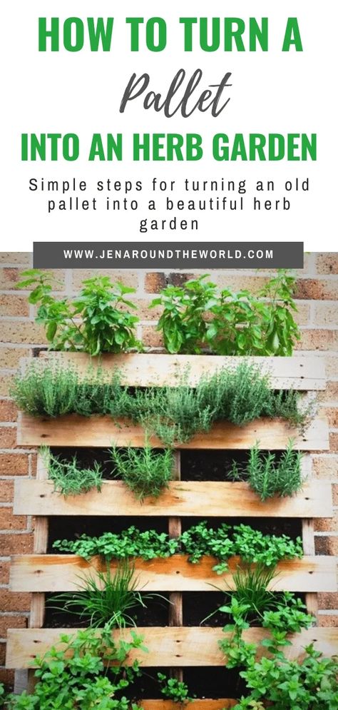 How to Turn a Pallet into an Herb Garden - Jen Around the World Herbs Growing, Herb Garden Pallet, Pallet Projects Garden, Outdoor Herb Garden, Bathroom Organizers, Diy Herb Garden, Vertical Herb Garden, Plants Growing, Herb Planters