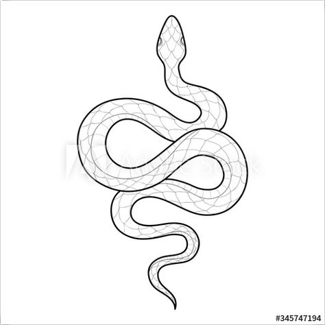 Rattlesnake Tattoo, Snake Outline, Snake And Dagger Tattoo, Reputation Snake, Wilderness Tattoo, Snake Sketch, Small Snake Tattoo, Tattoo Snake, Dragon Tattoo Art