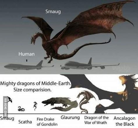 Dragons Of Middle Earth, Ancalagon The Black, Smaug Hobbit, Types Of Dragons, Shadow Of Mordor, Legendary Dragons, Big Dragon, Dnd Funny, Monster Concept Art