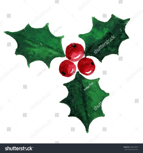 christmas holly berry symbol watercolor illustration  Royalty free  image  illustration Christmas Berries Illustration, Watercolor Holly And Berries, Holly Berry Drawing, Christmas Holly Drawing, Holly Doodle, Winter Doodles, Holly Pictures, Affordable Christmas Gifts, Christmas Staircase