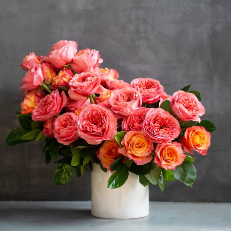 Pink Sunset – Empty Vase Free Spirit Rose, Rose Floral Arrangements, Unique Flower Arrangements, Rose Arrangements, Fresh Flowers Arrangements, Cylinder Vase, Pink Sunset, Beautiful Flower Arrangements, Garden Roses