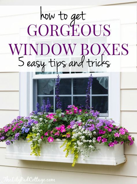 Flower Bed Window, Flower Boxes Outside Front Porches, Purple Window Boxes, Planter Box Arrangement Ideas, Colorful Window Boxes, Best Plants For Flower Boxes, Flowers In Planter Boxes, Planter Box Ideas Flowers, Planter Box Flower Arrangements