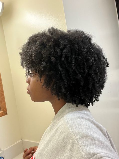 Coily Hair Short, Coily Hair Aesthetic, Type 4 Afro, Heart Shaped Afro, 4c Defined Curls, Defined 4c Hair, Shaped Afro, Natural 4b Hair, Curly 4c Hair