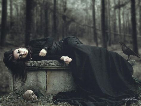 Cemetery Photoshoot, Gothic Photography, Elvira Mistress Of The Dark, Halloween Photography, Victorian Goth, Fantasy Photography, Halloween Photoshoot, Dark Gothic, Halloween Photos