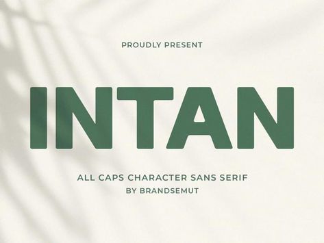 Bold San Serif Font, Tattoo Fonts Traditional, Sans Serif Logotype, Classic Sans Serif Fonts, Humanist Font, Personal Logo Inspiration, Utah Mom, Graphic Moodboard, Typewriter Fonts