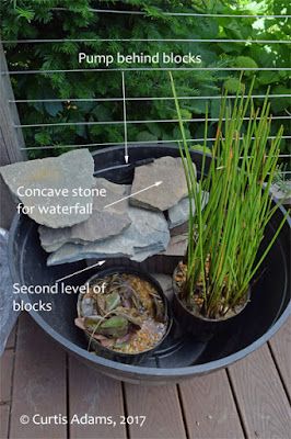 Native Plants with Adams Garden: Building a Container Water Garden Patio Garden Inspiration, Container Water Gardens Mini Pond, Water Container Garden, Mini Water Garden, Container Water Features, Container Fountain, Micro Pond, Container Pond Ideas, Diy Patio Pond