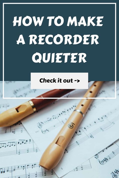 How to Make a Recorder Quieter. Check it out ->. How To Play Recorder, Recorder Musical Instrument, Sound Proof Flooring, Recorder Instrument, Piece Of Paper, Recorders, Grade School, Sound Proofing, The Sound