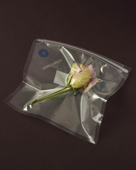 Still Life Photographers, Lady Bird, Foto Art, Creative Packaging, Fashion Editorial, Still Life Photography, Plastic Bag, Art Direction, Packaging Design