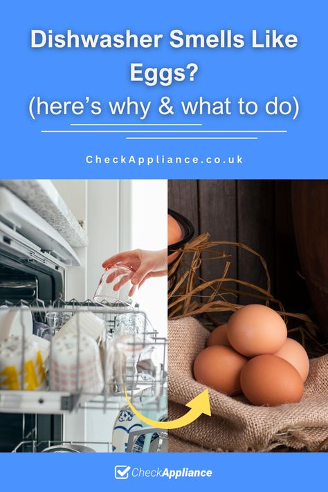 Dishwasher Smells Like Eggs? (here’s why & what to do) Dishwasher Smells Bad, Dishwasher Smell, Smelly Drain, Rotten Egg, Drain Pipes, The Dishwasher, Clogged Drain, Repair Guide, Dishwashers