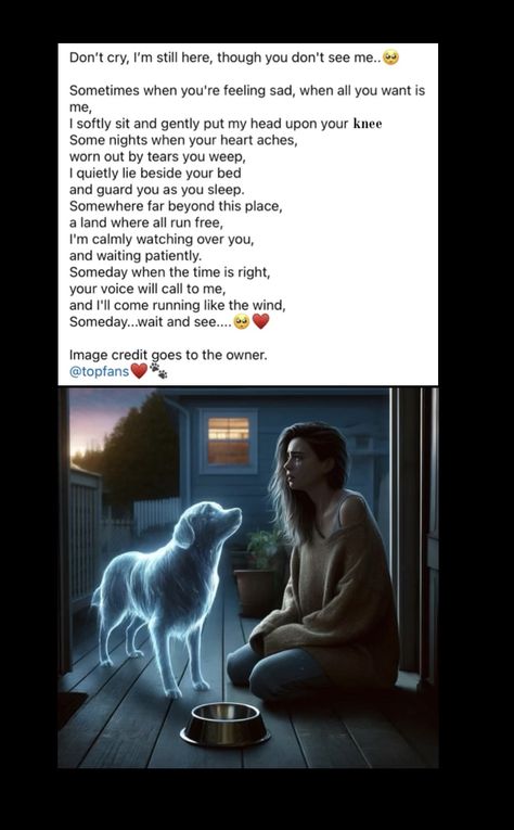 My Dog Just Died, Coping With Pet Loss Dogs, Do Dogs Go To Heaven, Losing Pet Quotes Dogs, Miss My Dog Pet Loss, Griefing Your Dog, Missing My Dog In Heaven, Losing A Pet Quote Dogs, When Your Pet Dies