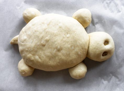 Turtle Bread - Run to the Table Animal Shaped Bread, Turtle Bread, Shaped Bread, Turtle Shape, Homemade Baked Bread, Yeast Dough, Bread Shaping, Bread Baker, Chocolate Art