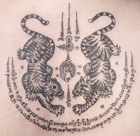 12+ Best Thai Tiger Tattoo Designs | PetPress Double Tiger Tattoo, Tiger Tattoo Back, Tiger Tattoo Meaning, Tattoo Chart, Wolf Tattoo Meaning, Sunshine Tattoo, Crab Tattoo, Buddhist Tattoo, Bamboo Tattoo