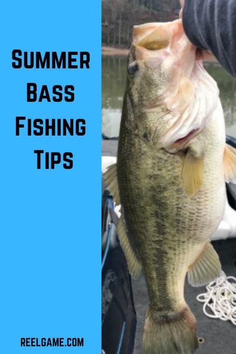 Bass Fishing Girl, Bass Fishing Quotes, Bass Fishing Pictures, Bass Fishing Boats, Fish Pictures, Fishing Trout, Largemouth Bass Fishing, Fishing 101, Fishing For Beginners