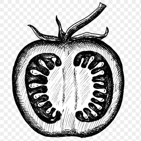 Tomato Tattoo Black, Tomato Png, Tomato Tattoo, Tomato Drawing, Vegetable Drawing, Vampire Drawings, Biblical Tattoos, Plant Sketches, Simple Sketch